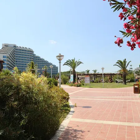 Complex Venosa & Didim